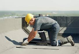 Best Asphalt Shingle Roofing  in Cold Spring, KY